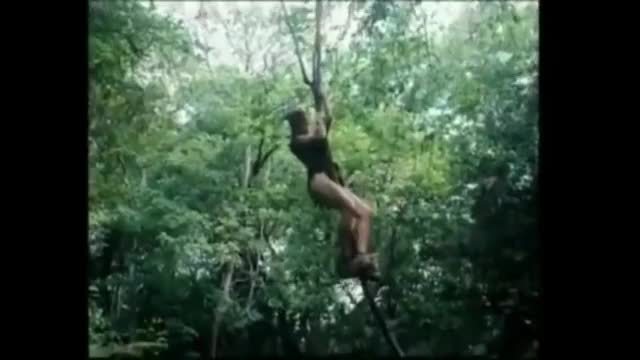 Tarzan x full